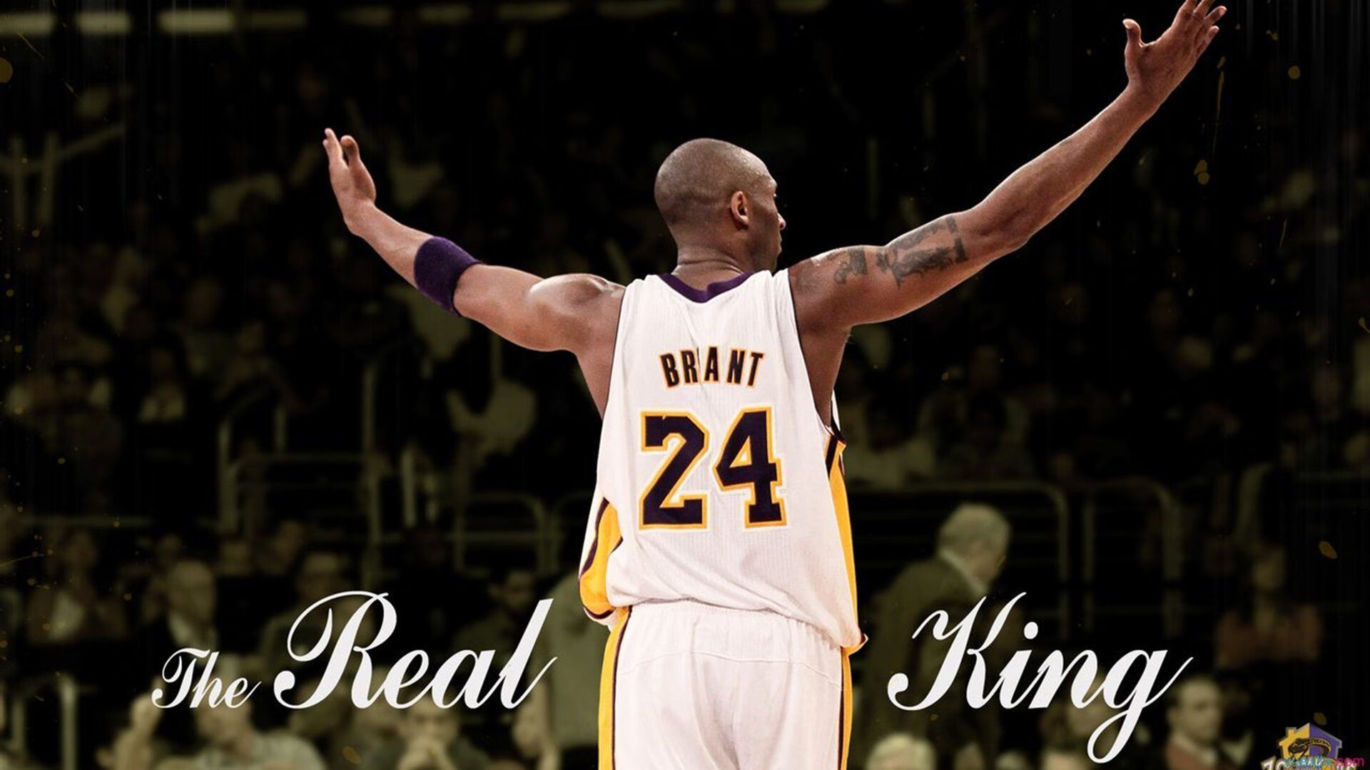 _激情夏季：国际网球先锋赛火热开启_，国际网球锦标赛